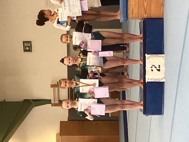 TTS3